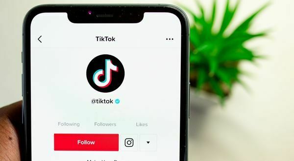 10 Artis TikTok dengan Followers Terbanyak Di Indonesia 2022