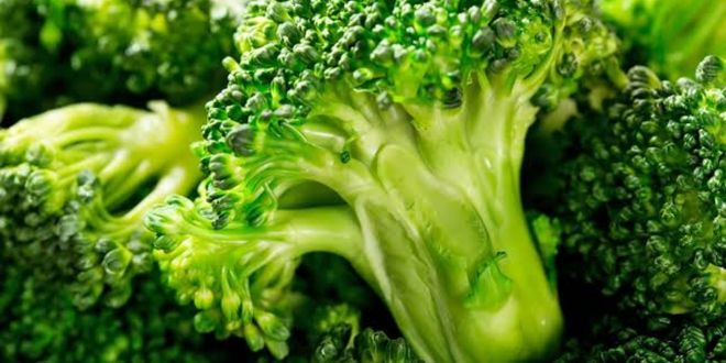 brokoli makanan kelinci